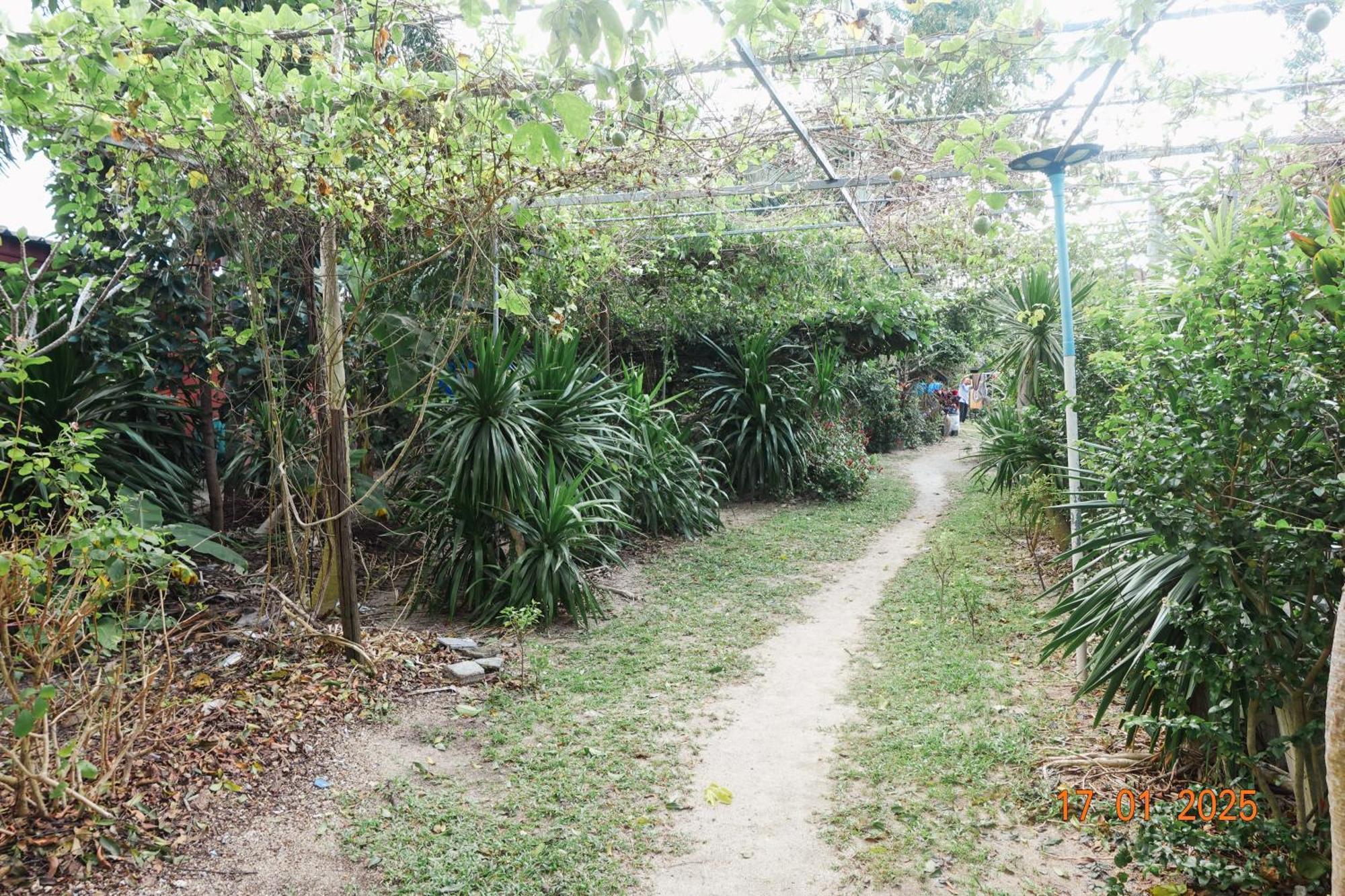 Subsavet Village Ko Pha Ngan Extérieur photo