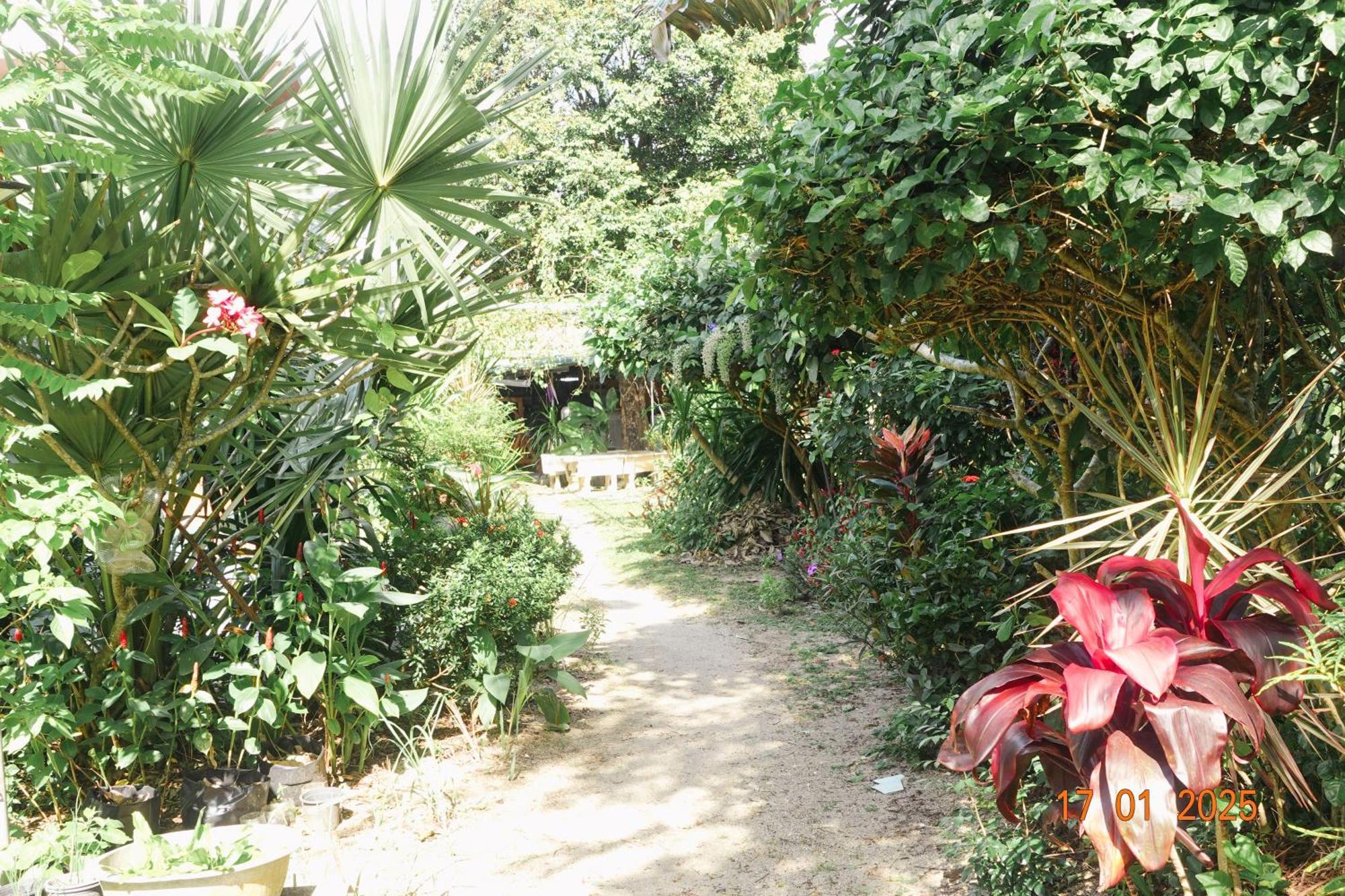 Subsavet Village Ko Pha Ngan Extérieur photo