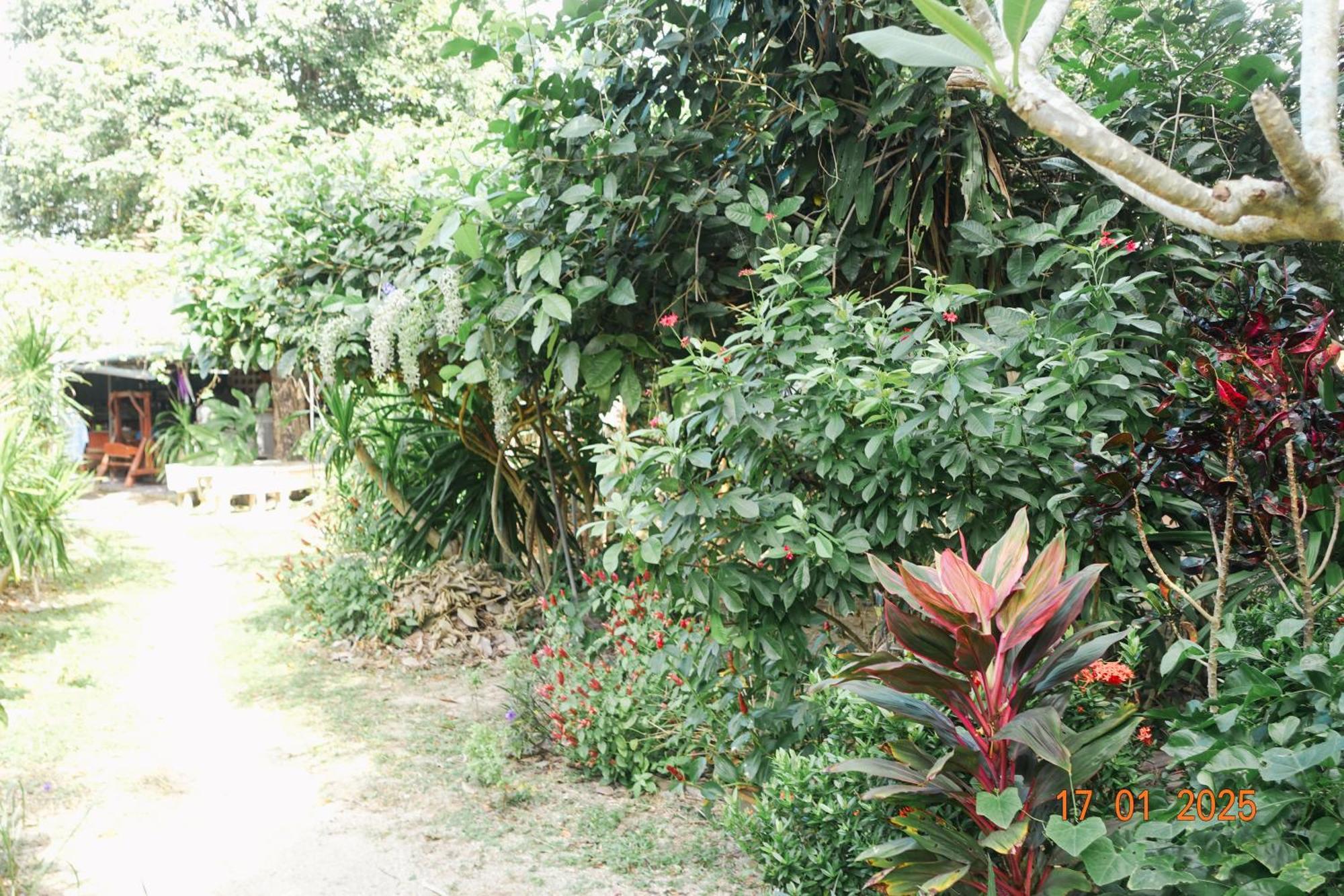 Subsavet Village Ko Pha Ngan Extérieur photo